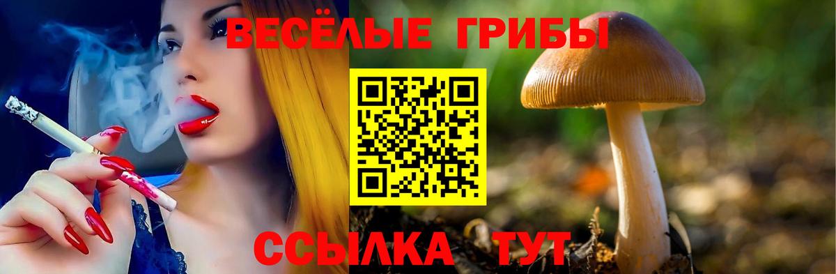 Галлюциногенные грибы Cubensis  Псилоцибиновые грибы мицелий  Мариинск  Вход с VPN 